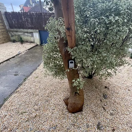 Apartmán Ajania, Appt Avec Parking Et Petit Jardin Prive *