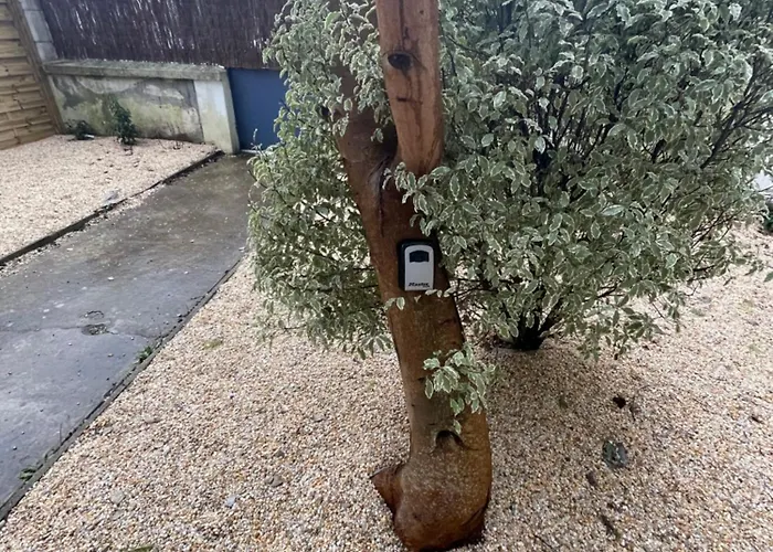 Apartmán Ajania, Appt Avec Parking Et Petit Jardin Prive *